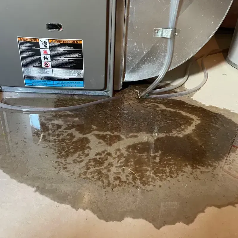 Appliance Leak Cleanup in Loganville, PA